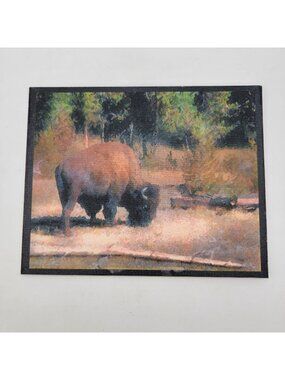 Vintage 2003 Ltd. Edition Giclee Print Canvas "Yellowstone Bison" By John A Wood